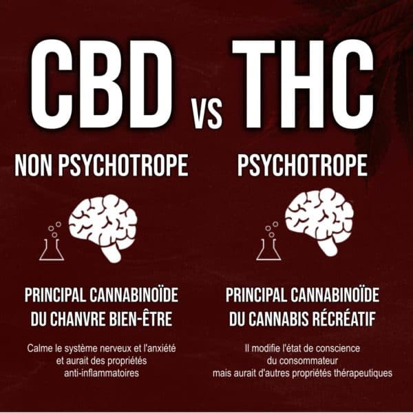 Difference CBD et THC - La French Chanvre & CBD