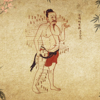 Illustration effet canabis sur corps humain