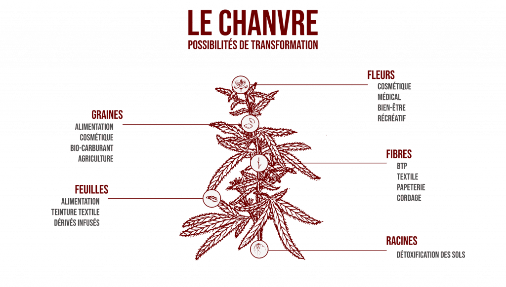 Shema Du Chanvre La French Hemp Factory