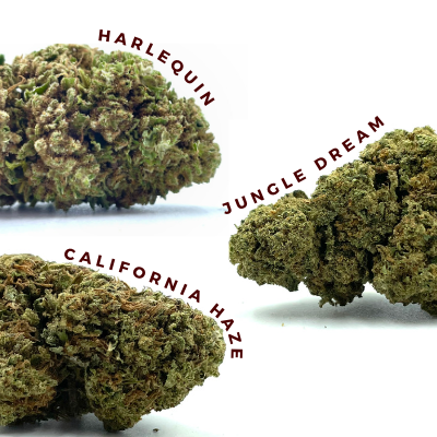 acheter fleurs de CBD à Annecy