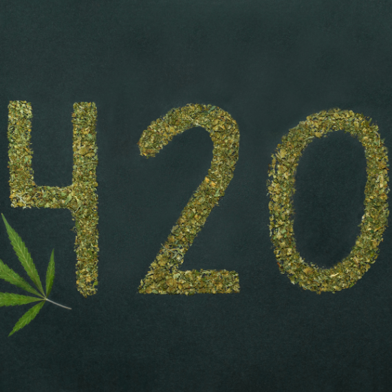 qu'est-ce que le 420 ?